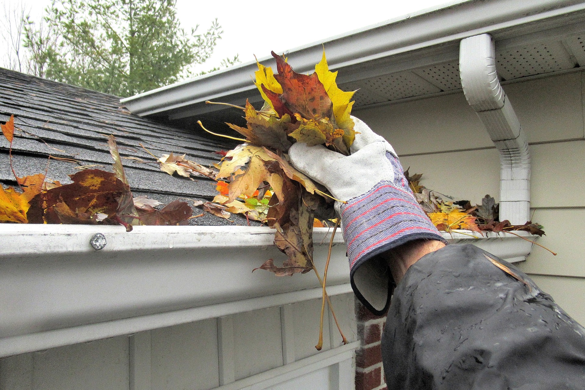 Nature, " Clearing Autumn Leaves from Gutters "